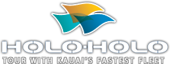 HoloHolo Charters logo