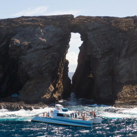 Niihau boat tours