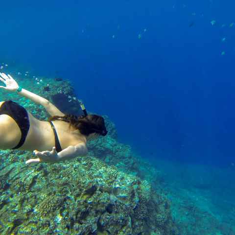 Niihau snorkeling