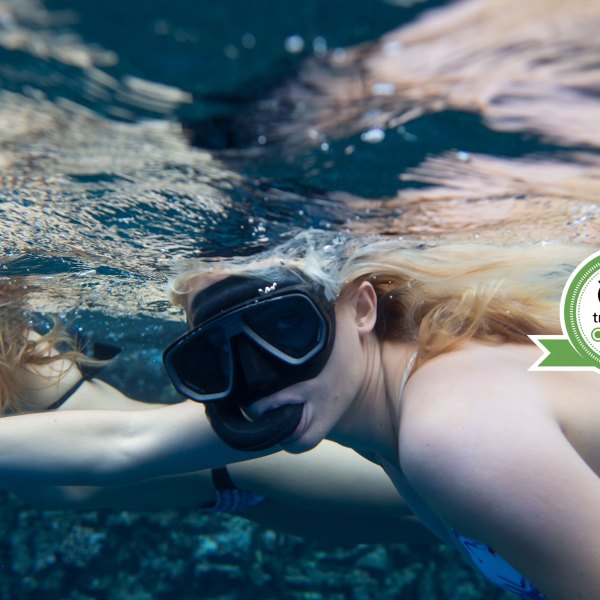 Niihau Snorkeling Tours