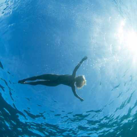 Niihau Snorkeling Tours