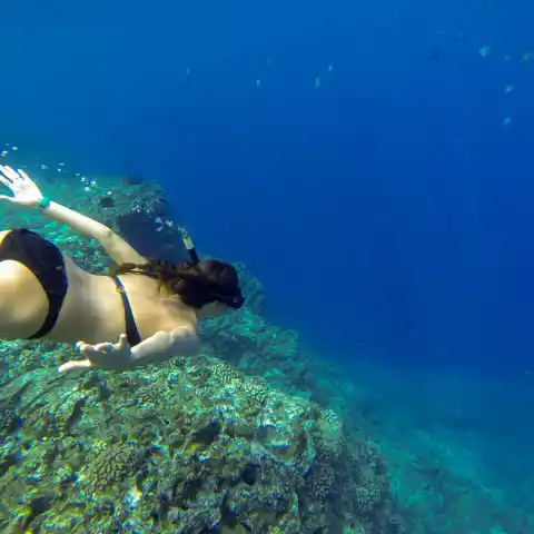 Niihau snorkeling tours