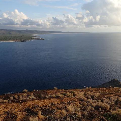Lehua bird sanctuary