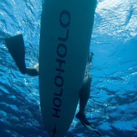 Niihau snorkeling tours